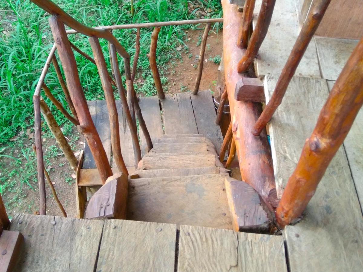 Akash Treehouse Leilighet Sigiriya Eksteriør bilde